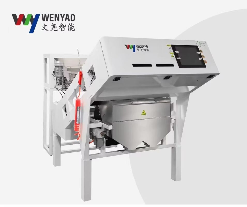 Wenyao 2025 Newest Two Belt Wide Low Speed Anti-breakage Strawberry Blueberry Color Sorter Machine Automatic Coffee Cherry Color Sorting Machine