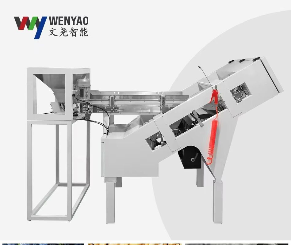 Wenyao 2025 Newest Two Belt Wide Low Speed Anti-breakage Strawberry Blueberry Color Sorter Machine Automatic Coffee Cherry Color Sorting Machine
