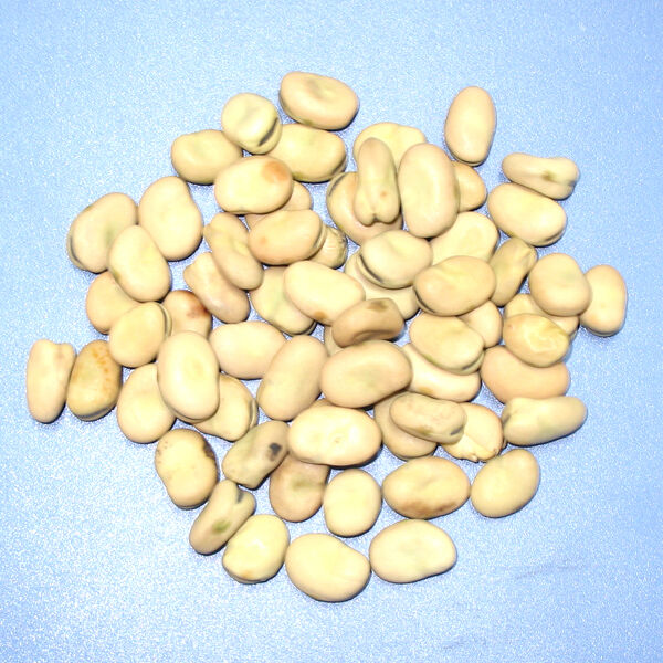 Wenyao CE Certificado de alta velocidad de clasificación de colores fabricantes chinos de clasificación óptica proveedor de granos amplios máquina de clasificación de colores