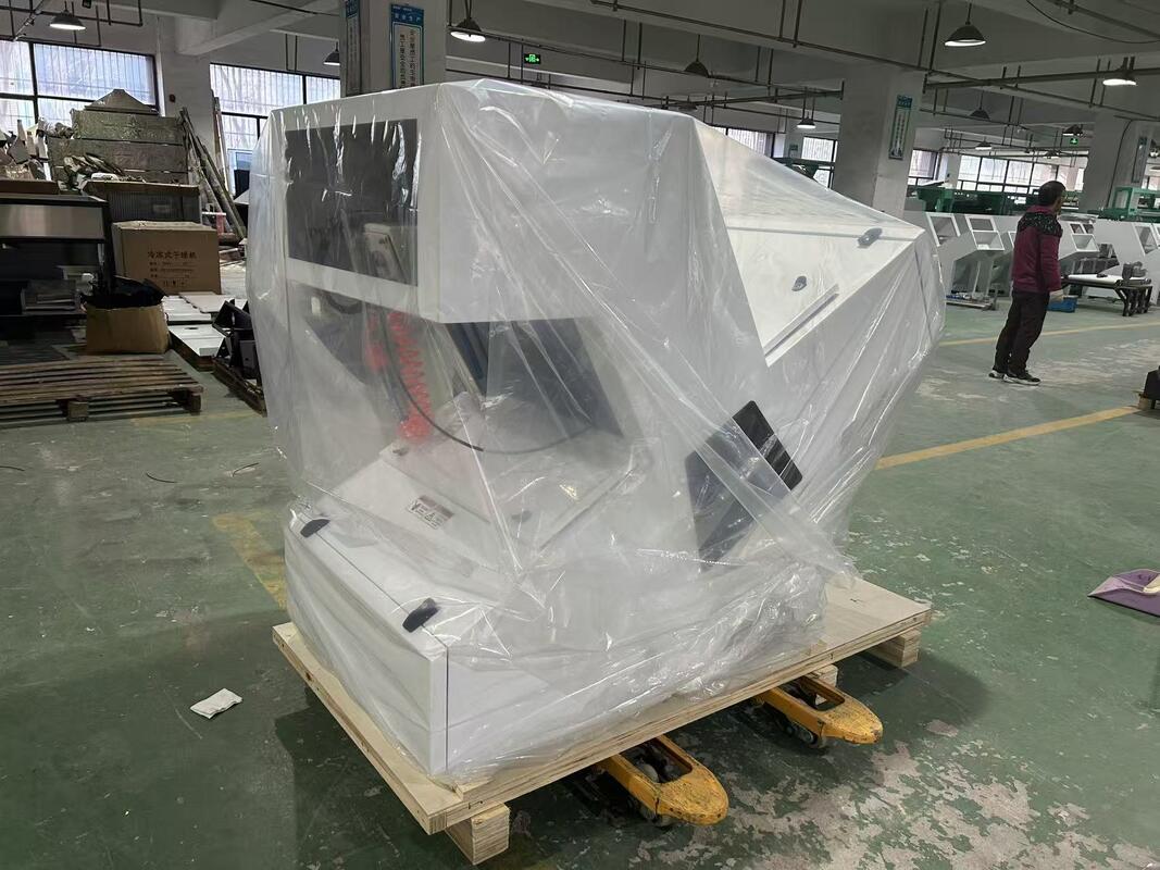 WENYAO 1 Máquina Clasificadora Óptica de Color para Castañas Deshidratadas y Secas