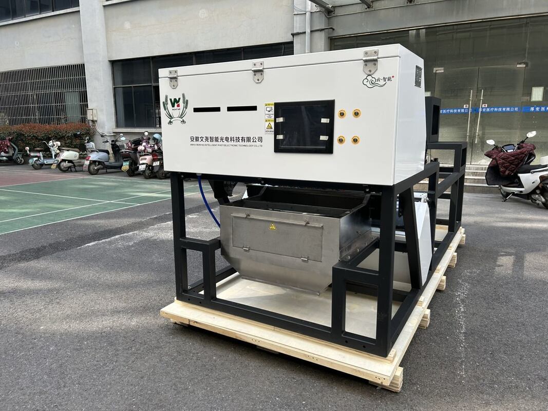 Clasificadora de color de alta capacidad de 600 mm de ancho de banda, color Juniper, para frambuesas secas, arándanos y granos