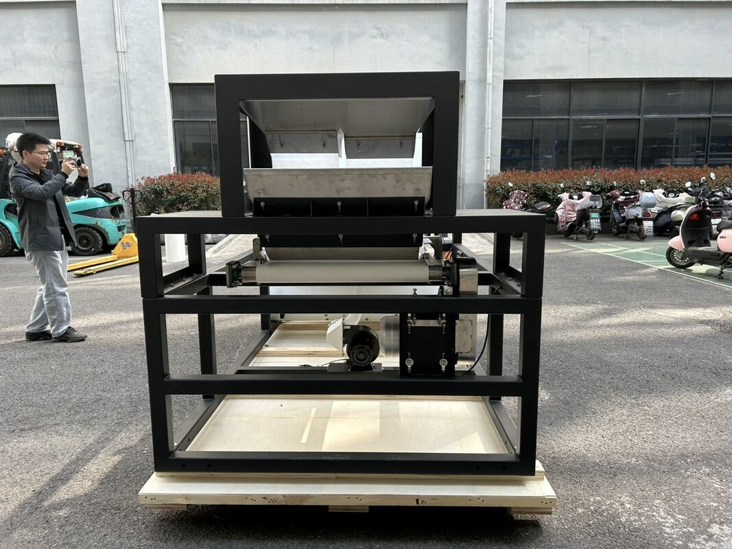 Clasificadora de color de alta capacidad de 600 mm de ancho de banda, color Juniper, para frambuesas secas, arándanos y granos