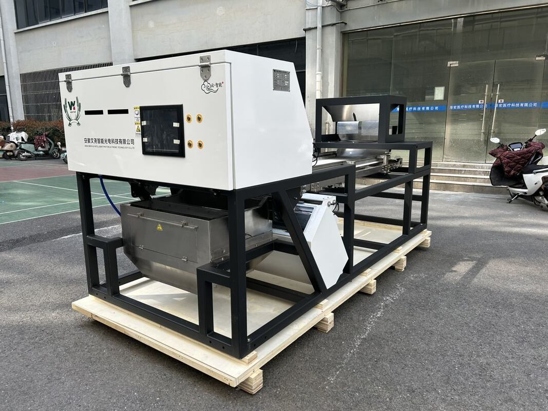 Clasificadora de color de alta capacidad de 600 mm de ancho de banda, color Juniper, para frambuesas secas, arándanos y granos