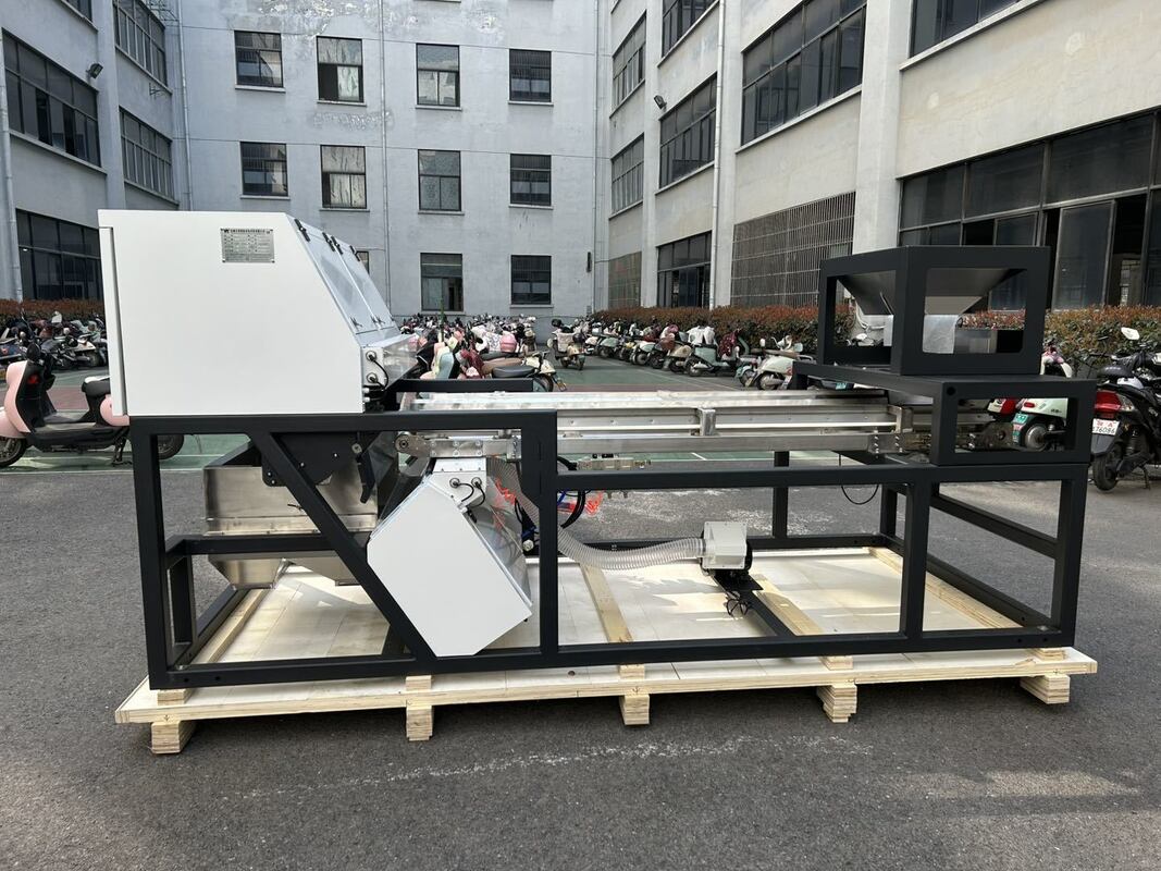 Clasificadora de color de alta capacidad de 600 mm de ancho de banda, color Juniper, para frambuesas secas, arándanos y granos