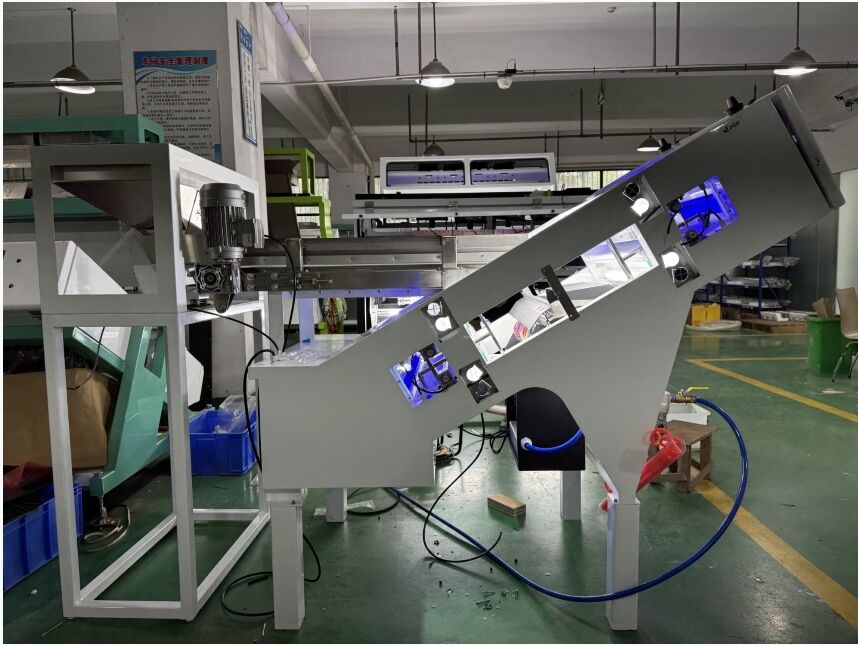 WENYAO 2025 Nuevo modelo de cinturón clasificador óptico de color para cerezo de café y kumquat