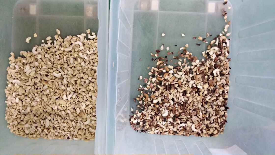 WENYAO High Precision 2 Channel Nut Color Sorter Remove Moldy Rotten Shell Impurity for All Kinds Nuts Processing
