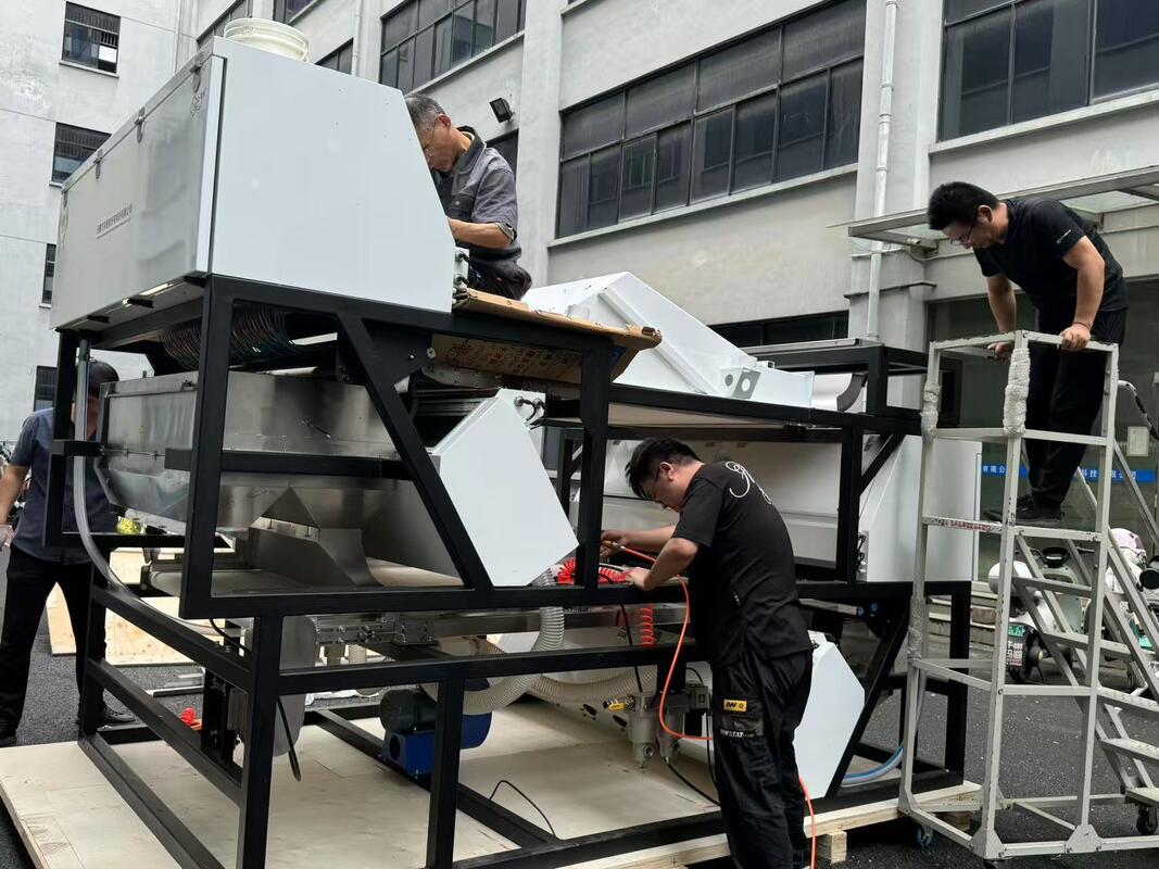Máquina de clasificación de colores de cuarzo de alta precisión con una precisión del 99,99% y detección de cámara de doble cara para la separación de arena de silicio