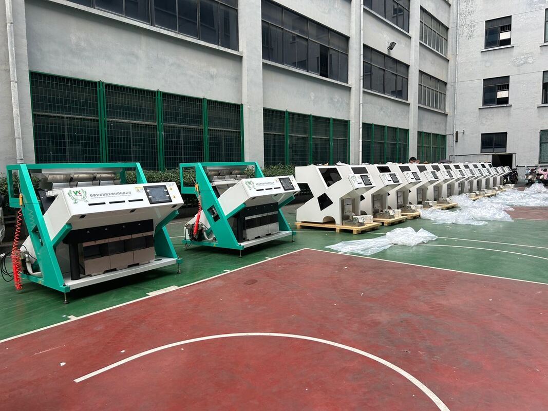 Wenyao Caliente Venta Máquina de clasificación óptica de colores Granos de café máquina de clasificación de colores