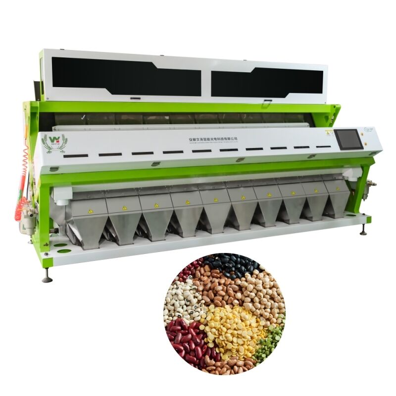 Máquina clasificadora de color de gran capacidad Wenyao 10 Chute 640 canales para frijoles, frijol mungo, frijol rojo, clasificadora óptica para la clasificación de nueces