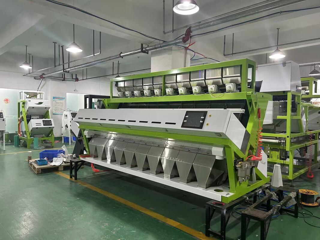Máquina clasificadora de color de gran capacidad Wenyao 10 Chute 640 canales para frijoles, frijol mungo, frijol rojo, clasificadora óptica para la clasificación de nueces