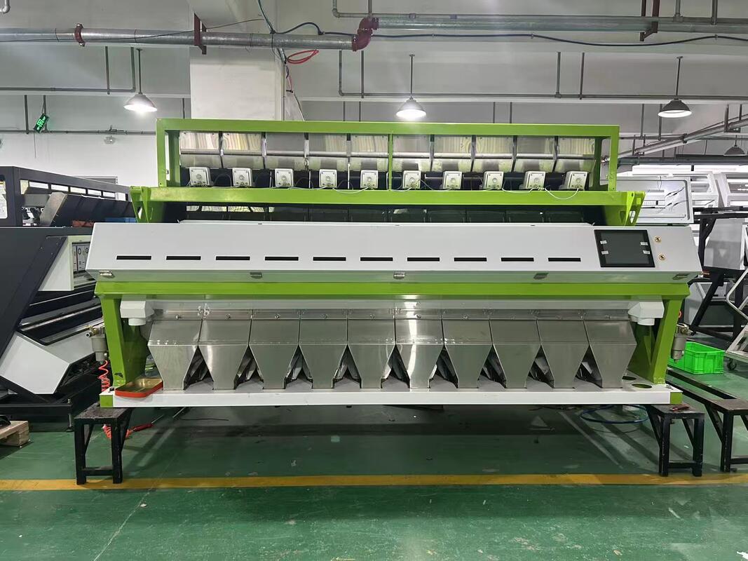 Máquina clasificadora de color de gran capacidad Wenyao 10 Chute 640 canales para frijoles, frijol mungo, frijol rojo, clasificadora óptica para la clasificación de nueces