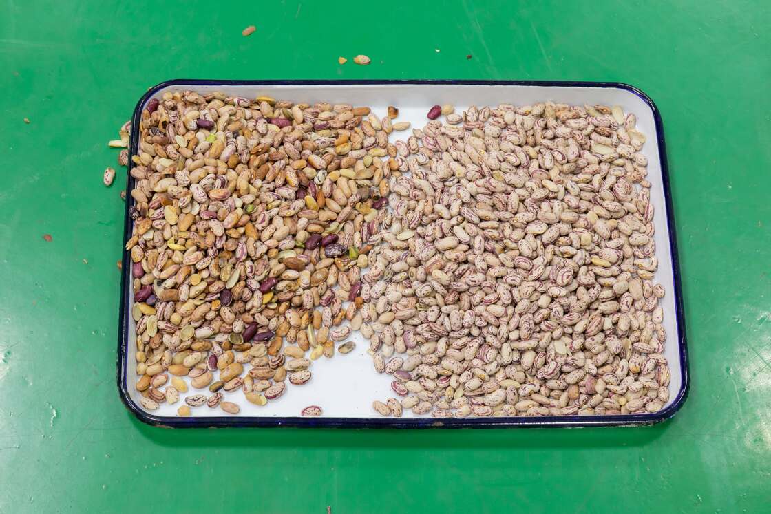 Máquina clasificadora de color de gran capacidad Wenyao 10 Chute 640 canales para frijoles, frijol mungo, frijol rojo, clasificadora óptica para la clasificación de nueces