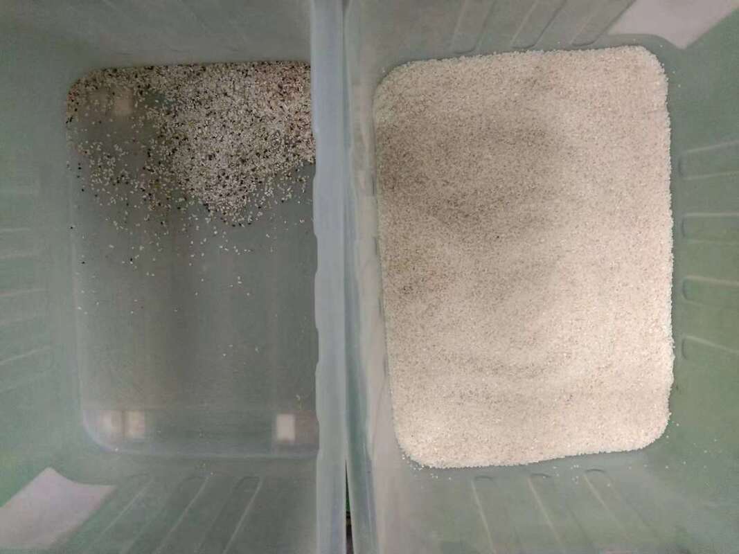 Wenyao El más nuevo aprendizaje de IA separador de color agrícola equipo de clasificación de color de quinua para limpieza de granos de arroz clasificador óptico automático