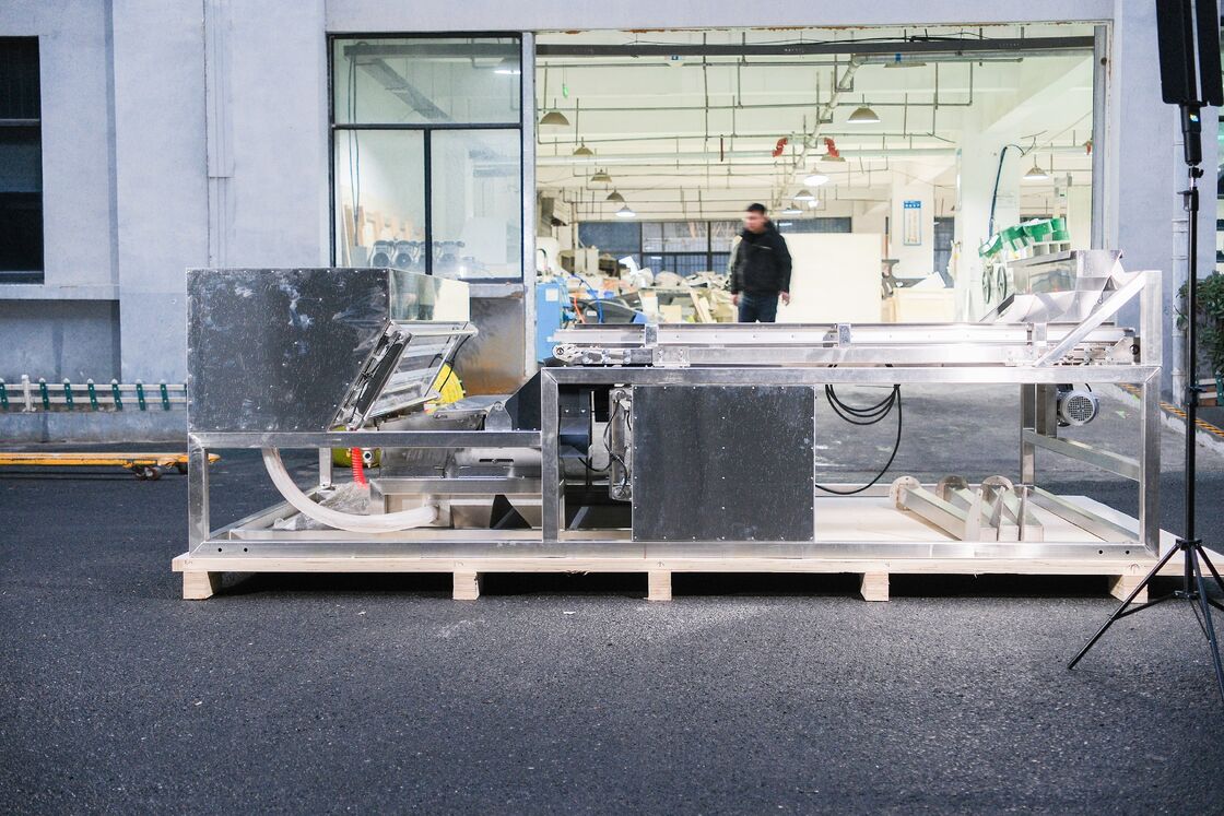 Wenyao Juniper Berry Color Sorter Wide Belt Stainless Steel Blueberry Strawberry Raspberry Color Sorting Machine Factory Price with CE Certificate Remote Control