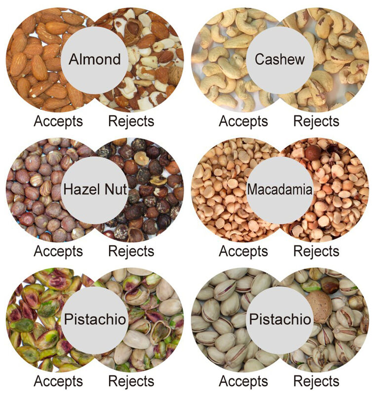 WENYAO Clasificadora de Nueces y Clasificadora Óptica a Todo Color de Alta Eficiencia con 128 Canales