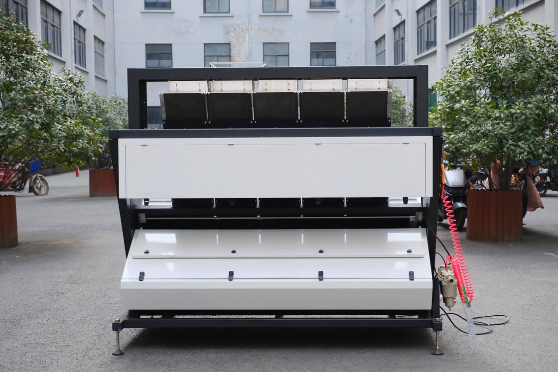 Wenyao 5 Chute Sortador óptico inteligente Sortador automático de color de nuez Núcleo y máquina de clasificación de color de nuez de pino con cáscara