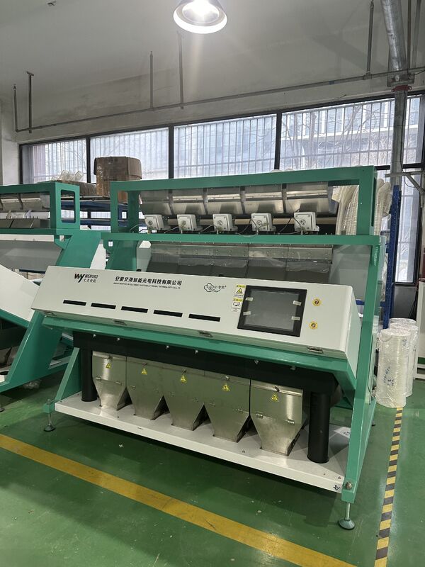 Wenyao 5 Chute Sortador óptico inteligente Sortador automático de color de nuez Núcleo y máquina de clasificación de color de nuez de pino con cáscara