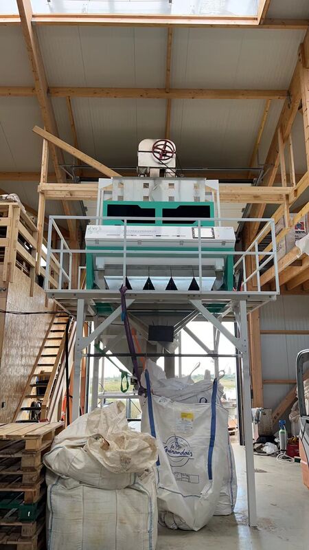 Wenyao 5 Chute Sortador óptico inteligente Sortador automático de color de nuez Núcleo y máquina de clasificación de color de nuez de pino con cáscara