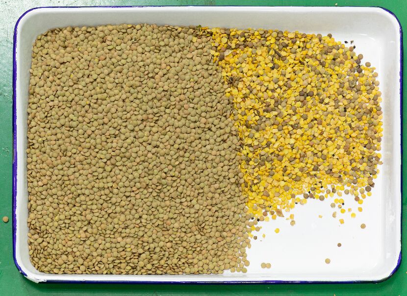 Máquina de clasificación automática de colores ópticos de granos con certificación CE Granos negros Granos de café Lentes Máquina de clasificación de colores para la venta 2026