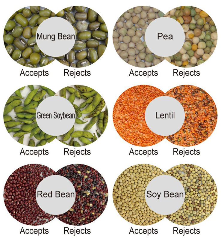 Máquina clasificadora de granos de café WENYAO con IA para color y forma, precisión del 99,99%, capacidad de 2500-8000 kg/h, alta pureza, garantía de 2 años
