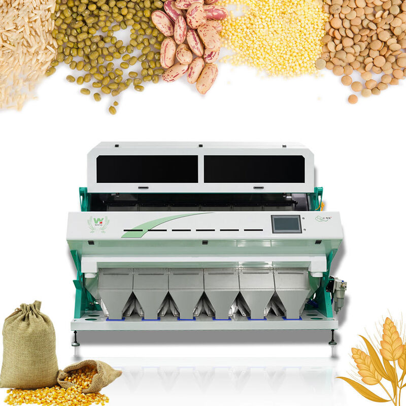 Clasificadora de Color de Granos de Café Multifunción Clasificadora Óptica de Alta Eficiencia para Frutos Secos, Granos y Verduras Deshidratadas