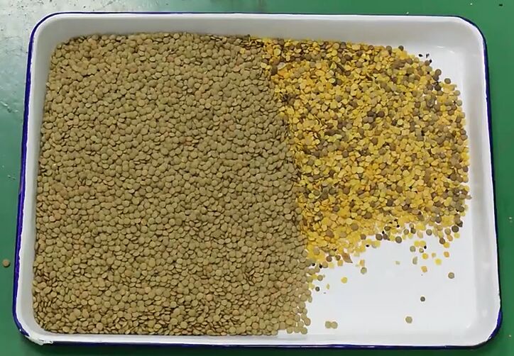 Wenyao 10 Chute 640 canales de gran capacidad Lentes Mung Bean Color Sorting Machine Sortador óptico para la clasificación de cacahuetes