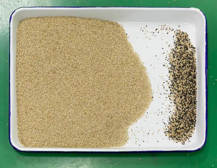 Wenyao 10 Chute 640 canales de gran capacidad Lentes Mung Bean Color Sorting Machine Sortador óptico para la clasificación de cacahuetes