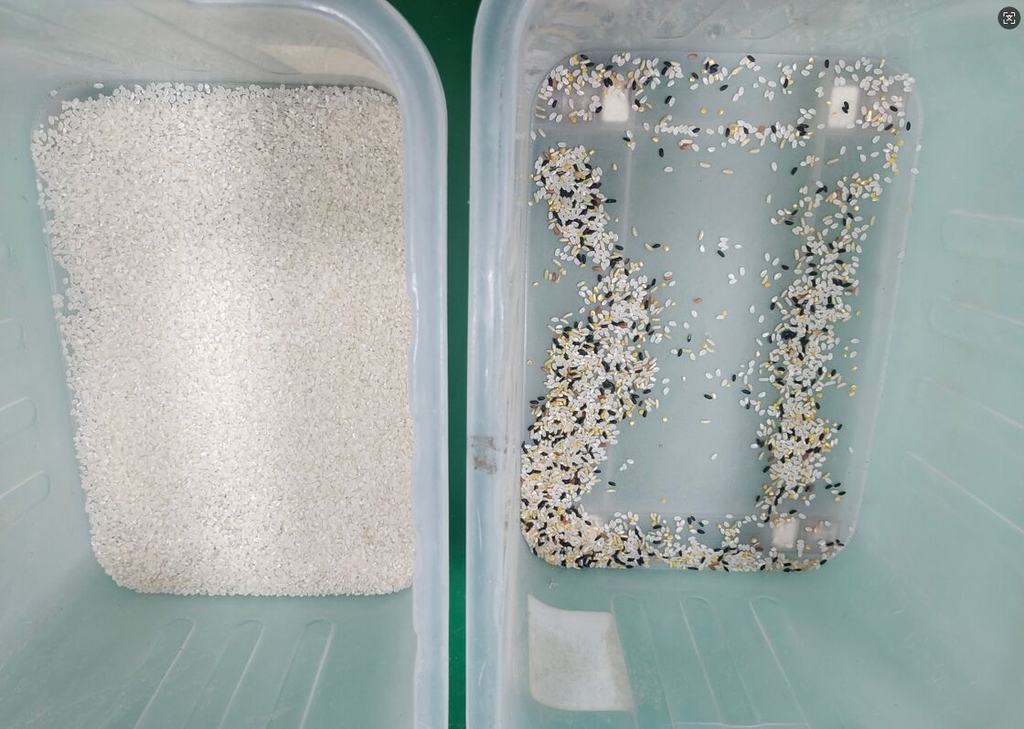 China Máquina automática de clasificación de colores de alta tecnología de arroz óptico