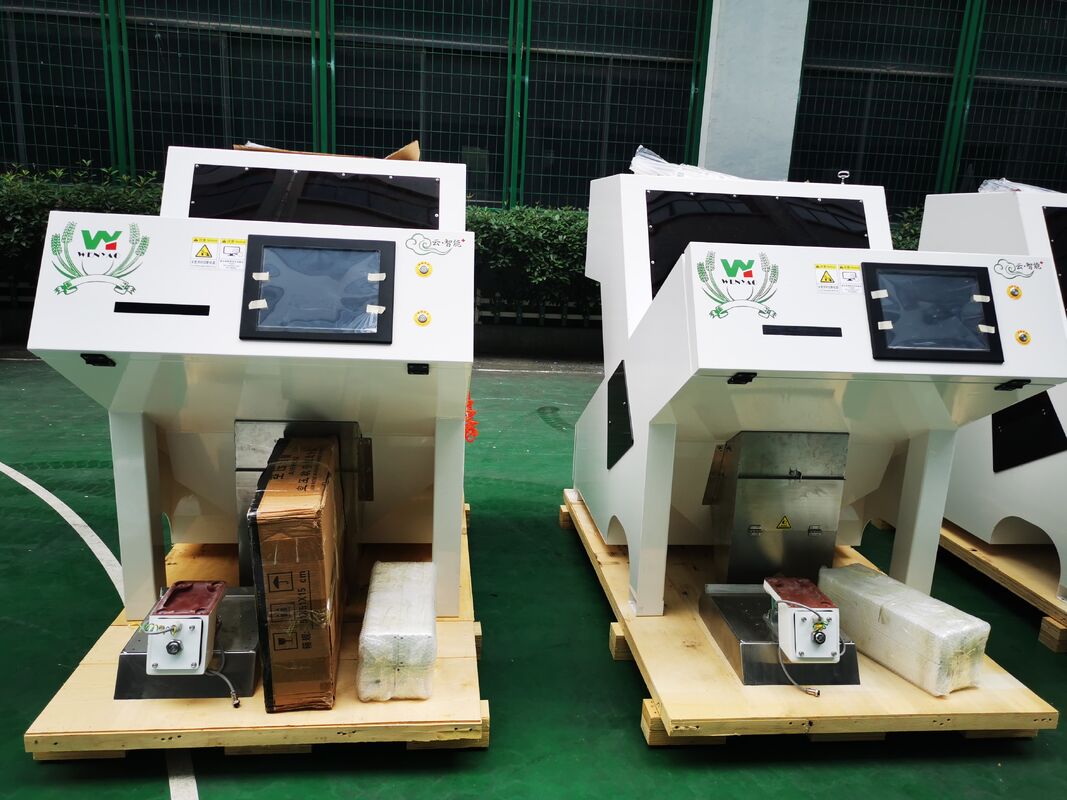 Wenyao Color Sortador para calabaza Caju cacahuete almendra Sortador de forma óptica máquina de clasificación para semillas de nueces China equipo de limpieza