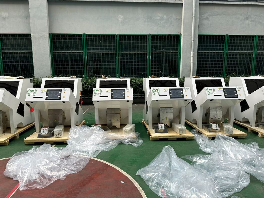 Wenyao Color Sortador para calabaza Caju cacahuete almendra Sortador de forma óptica máquina de clasificación para semillas de nueces China equipo de limpieza