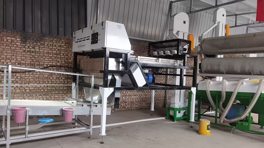 Máquina de clasificación de colores de cuarzo de alta precisión con una precisión del 99,99% y detección de cámara de doble cara para la separación de arena de silicio