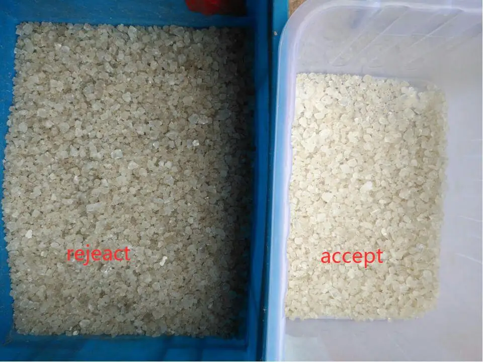 WENYAO Máquina de clasificación de color inteligente de acero inoxidable de alta capacidad