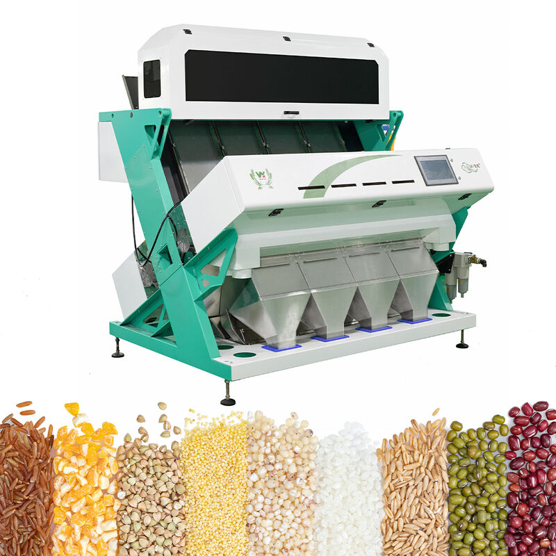Quinua inteligente de la avena del trigo del clasificador del color del alforfón que separa las cámaras inclinadas 6 de la máquina 3
