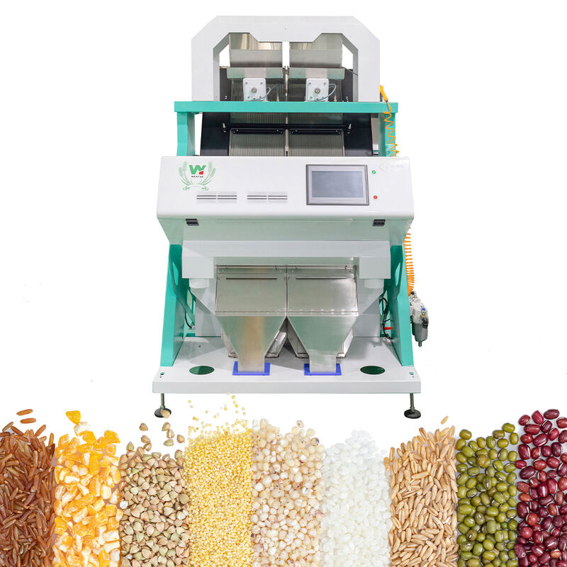 Clasificador automático de granos de color, máquina clasificadora de granos de café, separador multifuncional para soja, lentejas, garbanzos