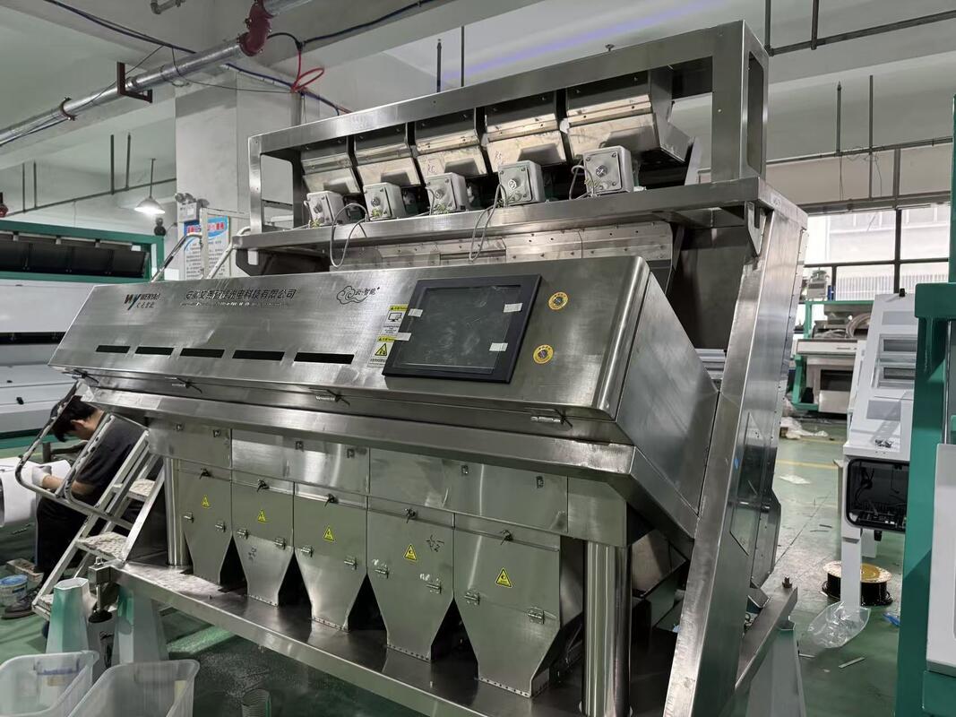 Máquina clasificadora de color inteligente WENYAO de acero inoxidable 304/316, clasificador de sal para eliminar impurezas