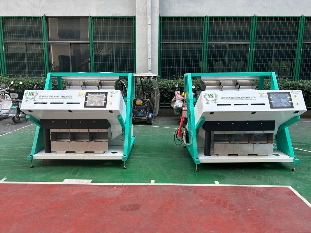 Wenyao Maíz de soja Azúcar de grano de café Máquina de clasificación de colores Nuevo diseño Máquina de clasificación de colores automática completa