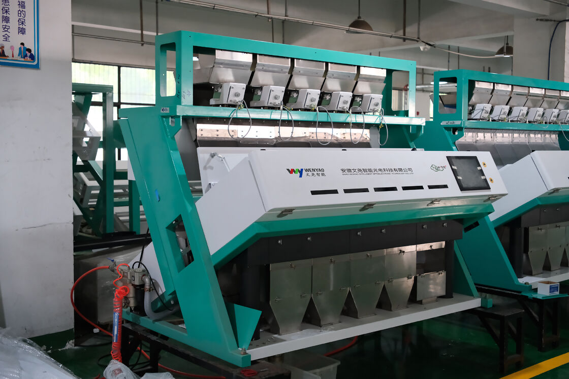 Clasificadora de semillas de girasol automática Wenyao de alta precisión 99.99% CCD con 5 tolvas, 320 canales y acero inoxidable de grado alimenticio 304