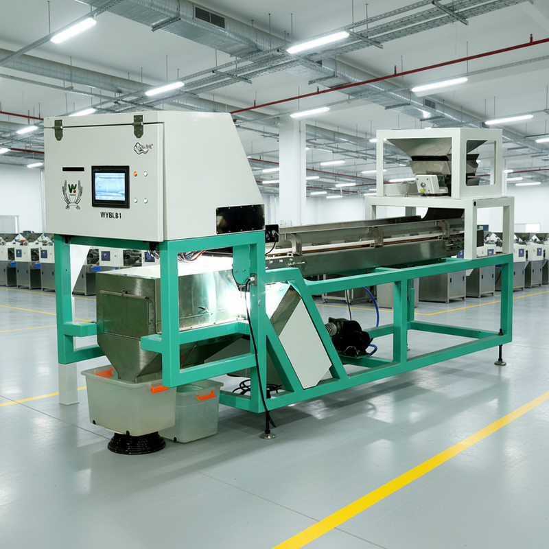 Máquina clasificadora de colores Wenyao AI de alta producción inteligente con certificado CE