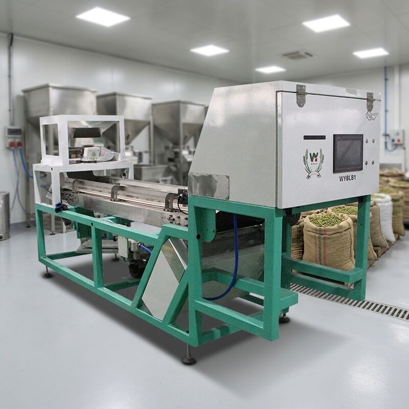 Máquina clasificadora de colores Wenyao AI de alta producción inteligente con certificado CE