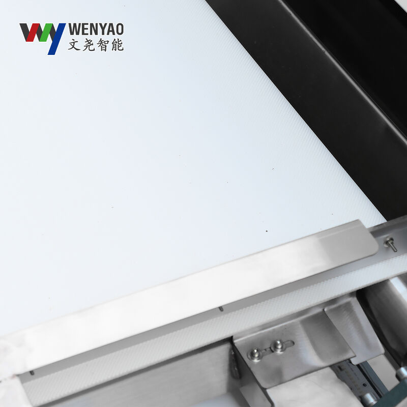 Wenyao AI Deep Learning Belt Color Sorter Pistachio Hazelnut Cashew Nut Color Sorting Machine for Large Sorting Speed Nuts Cleaning