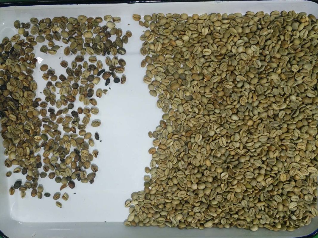 4 canales inclinados 256 canalizan la máquina del clasificador del color del café para las habas Wifi teledirigido