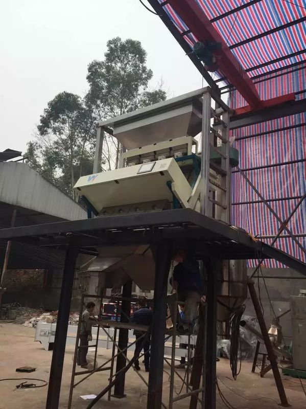 Las nueces de pino colorean el clasificador del color de las nueces de la máquina de proceso de la nuez de pino del clasificador