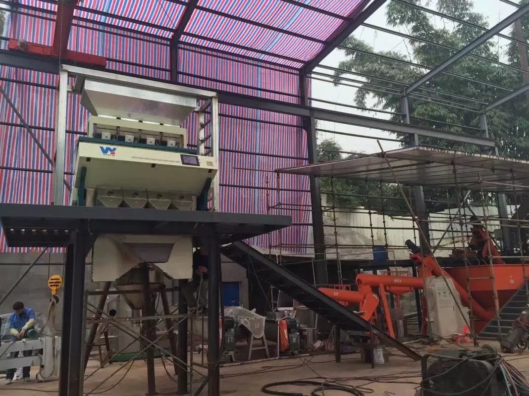 El clasificador automático del color del grano del CCD, 3t/h sazona la clasificadora con pimienta