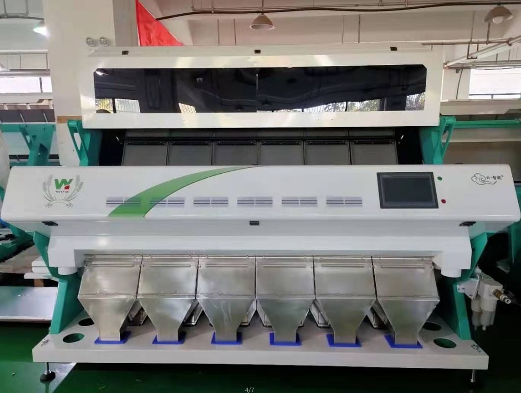 4T/H Sacha Inchi Bean Sorting Machine con alta exactitud de clasificación