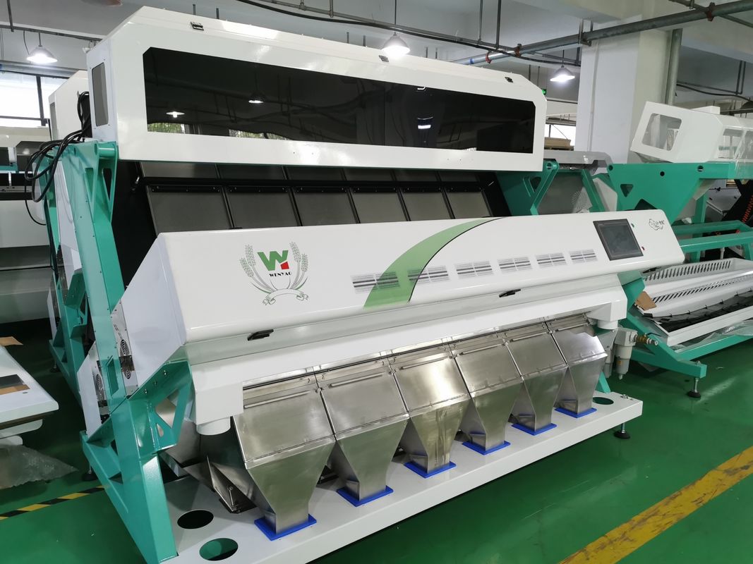 4T/H Sacha Inchi Bean Sorting Machine con alta exactitud de clasificación