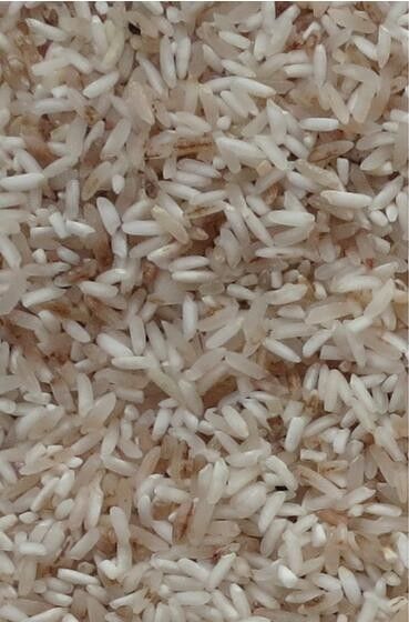 Tipo máquina del canal inclinado del clasificador del color del arroz del CCD con la alta resolución