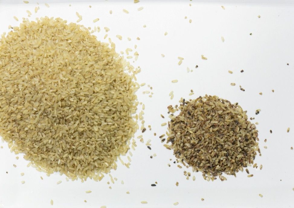 Alta máquina del clasificador del arroz de Vision RGB con los canales del compresor de aire 192