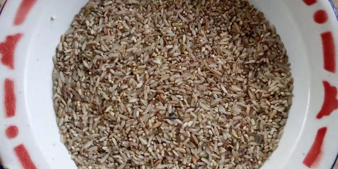 cámara de la marca de Toshiba del pixel del clasificador 5400 del color del grano 3t/H