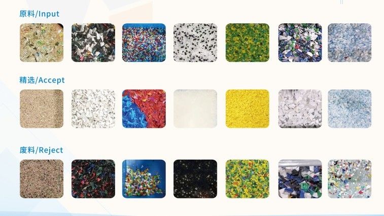 La clasificadora del color del plástico de la alta precisión para los gránulos plásticos del ANIMAL DOMÉSTICO o las escamas colorea la clasificación