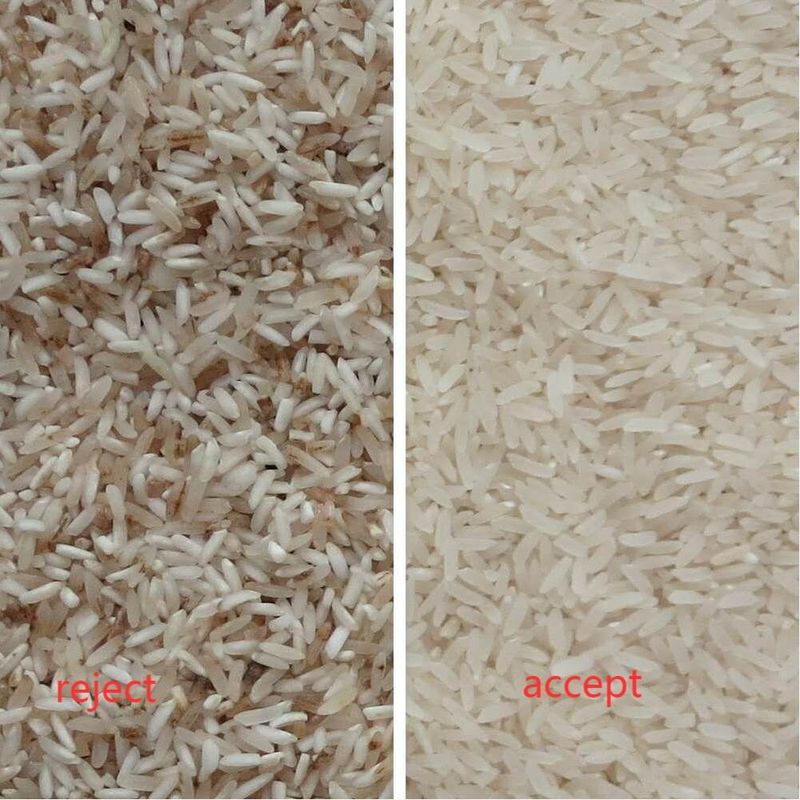 Exactitud de clasificación de la máquina 99 del clasificador del color del arroz de Wenyao 220V 50HZ